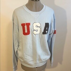 Wildfox Light Blue USA Crewneck Sweater